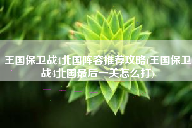 王国保卫战4北国阵容推荐攻略(王国保卫战4北国最后一关怎么打)