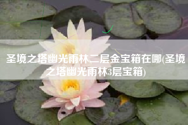 圣境之塔幽光雨林二层金宝箱在哪(圣境之塔幽光雨林3层宝箱)