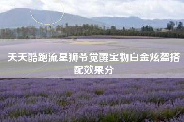 天天酷跑流星狮爷觉醒宝物白金炫盔搭配效果分