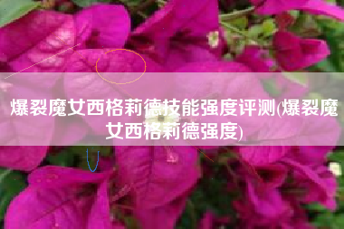 爆裂魔女西格莉德技能强度评测(爆裂魔女西格莉德强度)