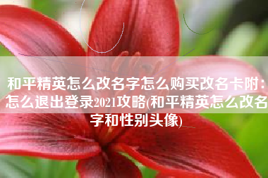和平精英怎么改名字怎么购买改名卡附：怎么退出登录2021攻略(和平精英怎么改名字和性别头像)
