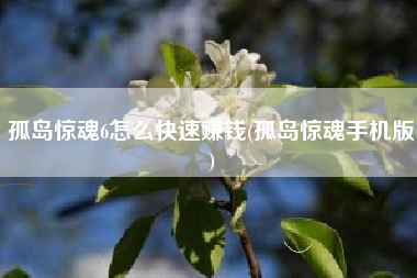 孤岛惊魂6怎么快速赚钱(孤岛惊魂手机版)