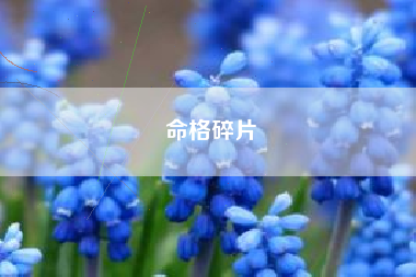 命格碎片