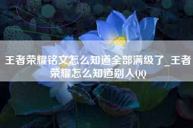 王者荣耀铭文怎么知道全部满级了_王者荣耀怎么知道别人QQ