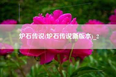 炉石传说(炉石传说新版本)_2