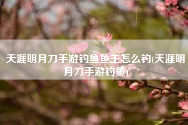 天涯明月刀手游钓鱼鱼王怎么钓(天涯明月刀手游钓鱼)
