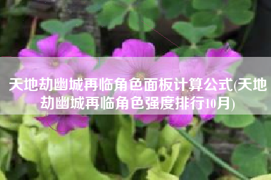 天地劫幽城再临角色面板计算公式(天地劫幽城再临角色强度排行10月)