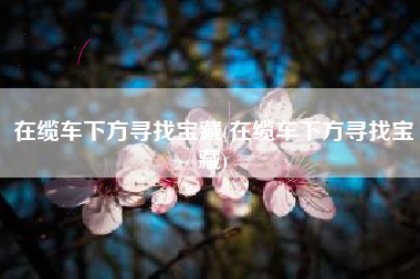 在缆车下方寻找宝藏(在缆车下方寻找宝藏)