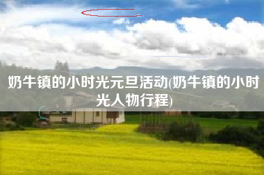奶牛镇的小时光元旦活动(奶牛镇的小时光人物行程)