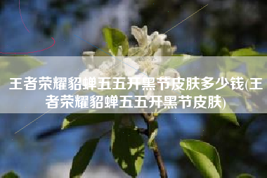 王者荣耀貂蝉五五开黑节皮肤多少钱(王者荣耀貂蝉五五开黑节皮肤)