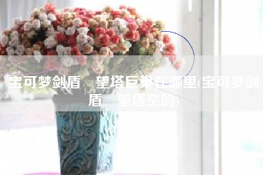 宝可梦剑盾瞭望塔巨巢在哪里(宝可梦剑盾瞭望塔空的)