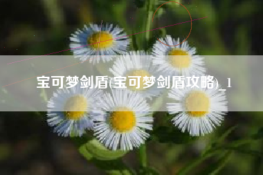 宝可梦剑盾(宝可梦剑盾攻略)_1