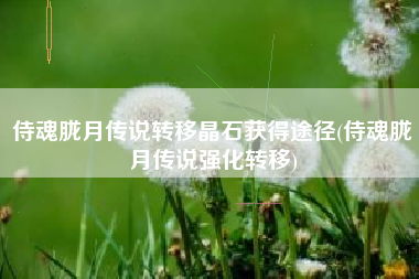 侍魂胧月传说转移晶石获得途径(侍魂胧月传说强化转移)