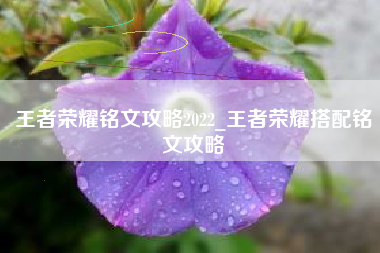 王者荣耀铭文攻略2022_王者荣耀搭配铭文攻略