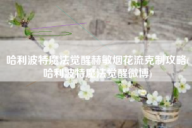哈利波特魔法觉醒赫敏烟花流克制攻略(哈利波特魔法觉醒微博)