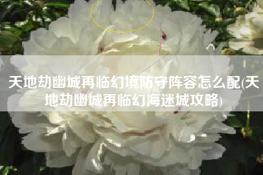 天地劫幽城再临幻境防守阵容怎么配(天地劫幽城再临幻海迷城攻略)