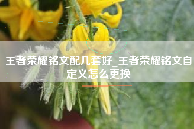 王者荣耀铭文配几套好_王者荣耀铭文自定义怎么更换
