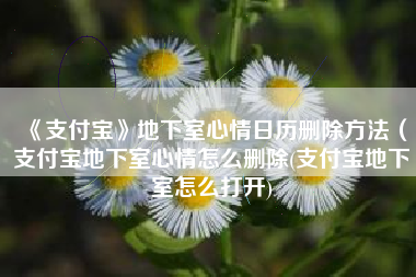 《支付宝》地下室心情日历删除方法（支付宝地下室心情怎么删除(支付宝地下室怎么打开)