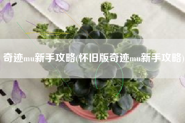 奇迹mu新手攻略(怀旧版奇迹mu新手攻略)