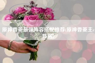原神香菱最强阵容搭配推荐(原神香菱主c阵容)