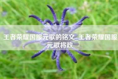 王者荣耀国服元歌的铭文_王者荣耀国服元歌将政