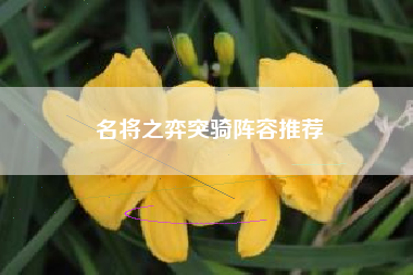 名将之弈突骑阵容推荐