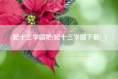 妃十三学园吧(妃十三学园下载)_1