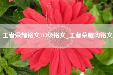 王者荣耀铭文115级铭文_王者荣耀肉铭文