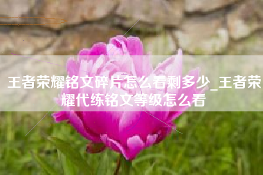 王者荣耀铭文碎片怎么看剩多少_王者荣耀代练铭文等级怎么看