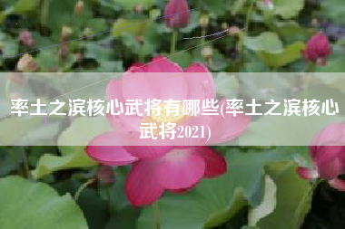 率土之滨核心武将有哪些(率土之滨核心武将2021)