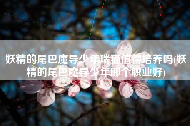 妖精的尾巴魔导少年瑞猫值得培养吗(妖精的尾巴魔导少年哪个职业好)