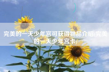 完美的一天少年宫可获得物品介绍(完美的一天少年宫卡)