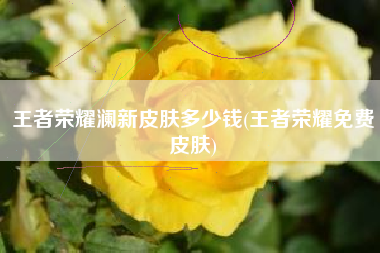 王者荣耀澜新皮肤多少钱(王者荣耀免费皮肤)