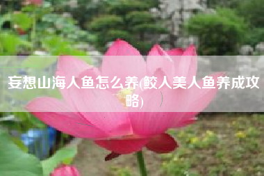 妄想山海人鱼怎么养(鲛人美人鱼养成攻略)