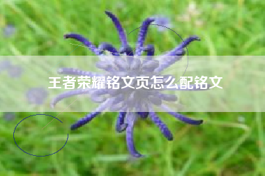 王者荣耀铭文页怎么配铭文