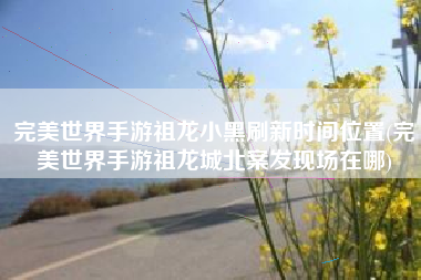 完美世界手游祖龙小黑刷新时间位置(完美世界手游祖龙城北案发现场在哪)