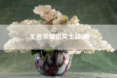 王者荣耀铭文士战4级