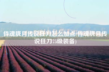 侍魂胧月传说狂刀怎么加点(侍魂胧月传说狂刀75级装备)