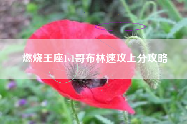 燃烧王座1v1哥布林速攻上分攻略