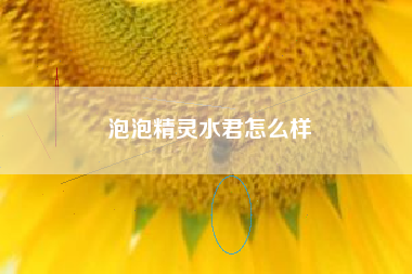 泡泡精灵水君怎么样