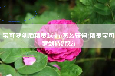 宝可梦剑盾精灵球plus怎么获得(精灵宝可梦剑盾游戏)