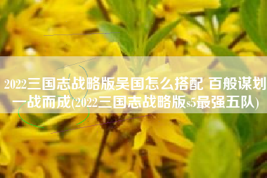 2022三国志战略版吴国怎么搭配 百般谋划一战而成(2022三国志战略版s5最强五队)