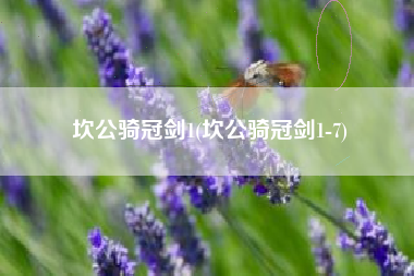 坎公骑冠剑1(坎公骑冠剑1-7)