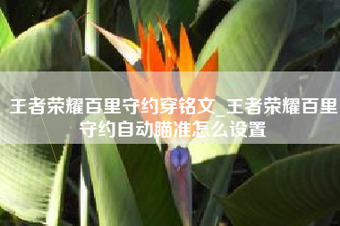 王者荣耀百里守约穿铭文_王者荣耀百里守约自动瞄准怎么设置