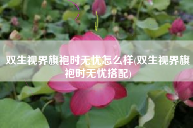 双生视界旗袍时无忧怎么样(双生视界旗袍时无忧搭配)