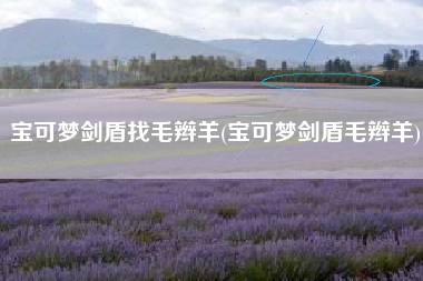 宝可梦剑盾找毛辫羊(宝可梦剑盾毛辫羊)