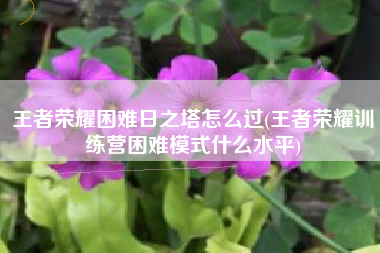 王者荣耀困难日之塔怎么过(王者荣耀训练营困难模式什么水平)