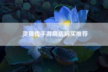 灵猫传手游商店购买推荐