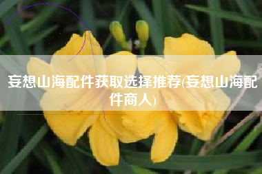 妄想山海配件获取选择推荐(妄想山海配件商人)