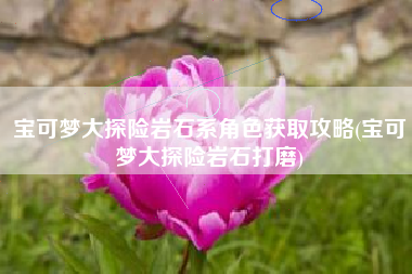 宝可梦大探险岩石系角色获取攻略(宝可梦大探险岩石打磨)